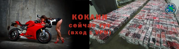 гидра Вяземский