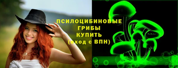 гидра Вяземский