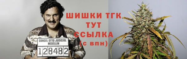 ECSTASY Вязьма