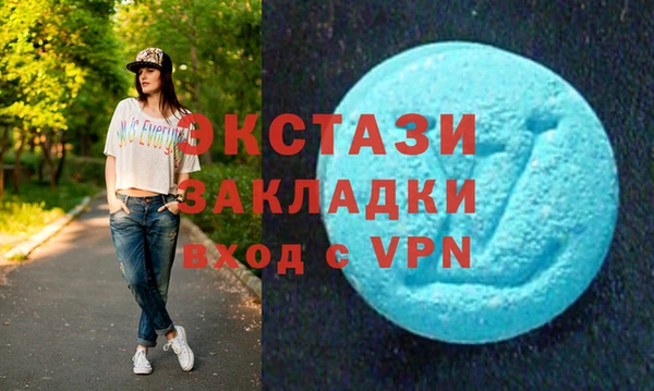 гидра Вяземский