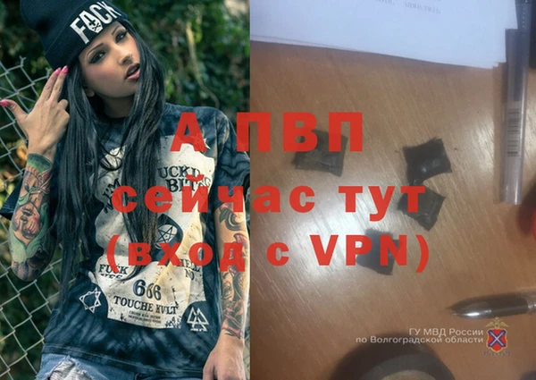 дмт Горняк