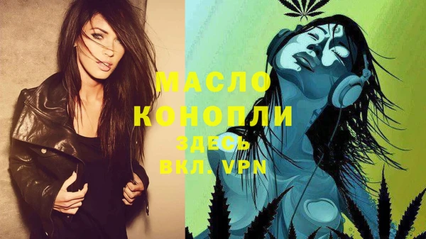 гидра Вяземский