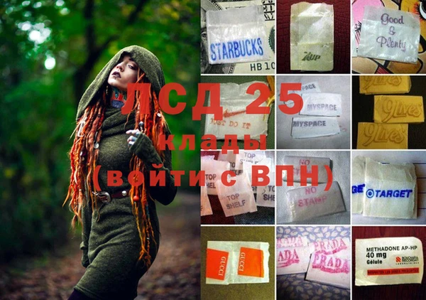гидра Вяземский