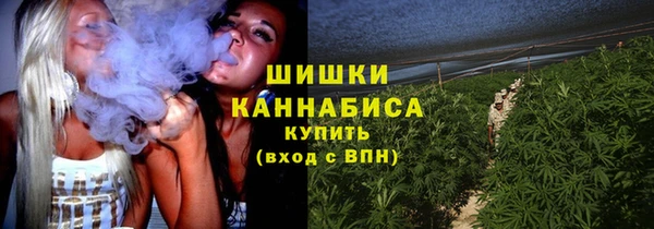 ECSTASY Вязьма