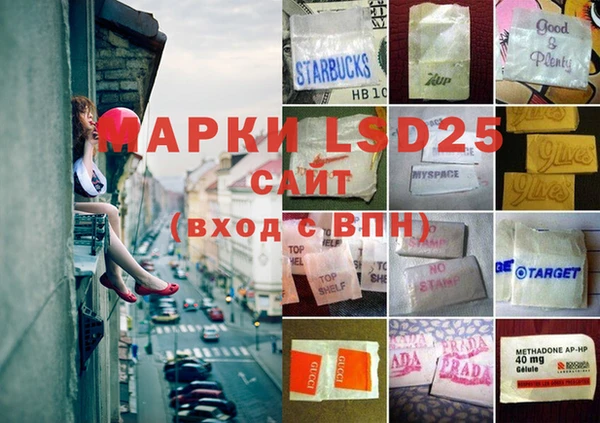 гидра Вяземский